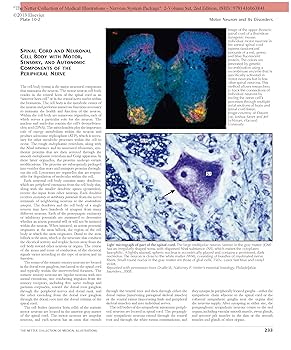 CLINICAL ANATOMY(CD未開封付き) ICUとCCU 2025年2月号（Vol.49 No.2） – 医学図書出版